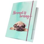 Teczka z gumką A4 Studio Pets Paso