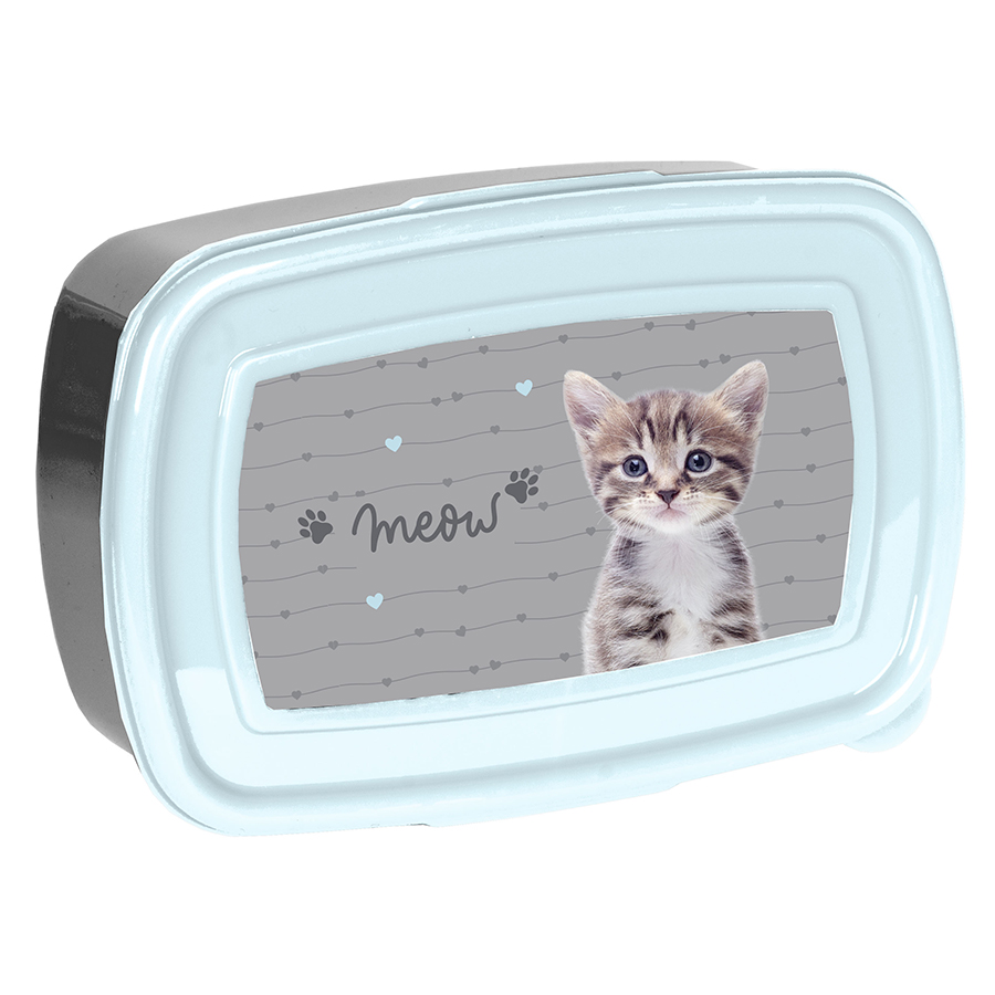 PP24AK-3022-5903162129921-1 Śniadaniówka Kot Paso - obrazek 1