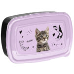 Śniadaniówka Striped cat Kotek Paso