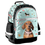 Plecak szkolny Little dog Piesek Jamnik Paso