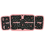 Piórnik bez wyposażenia Piesek Jamnik Paso - obrazek 3